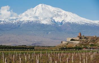 Арарат и виноградники