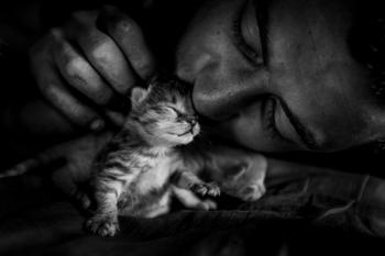 война в Карабахе