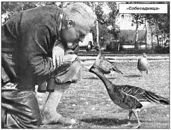 Конрад Лоренц