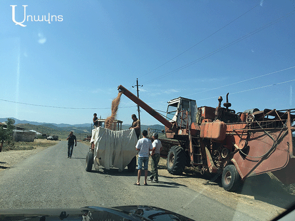 сельское хозяйство в Арцахе