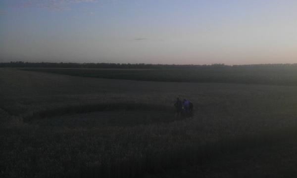 Круги на полях