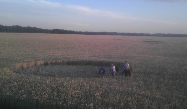 Круги на полях