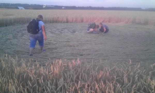 Круги на полях