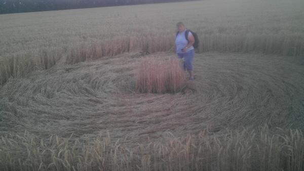 Круги на полях