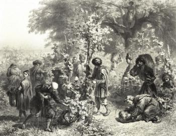 возделывание винограда