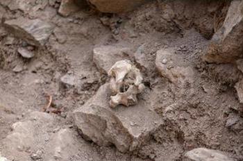 раскопки Агиту