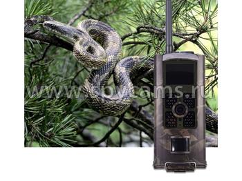 фотоловушка купить