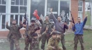 Серые волки