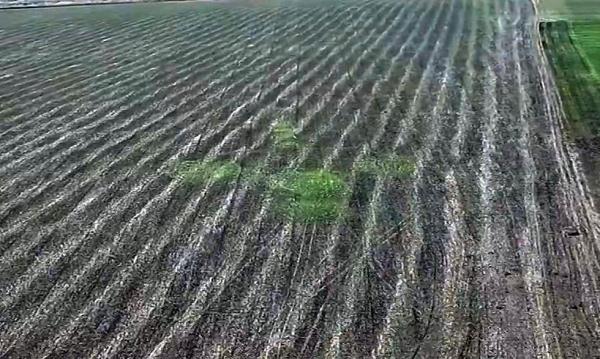 круги на полях октябрь 2018