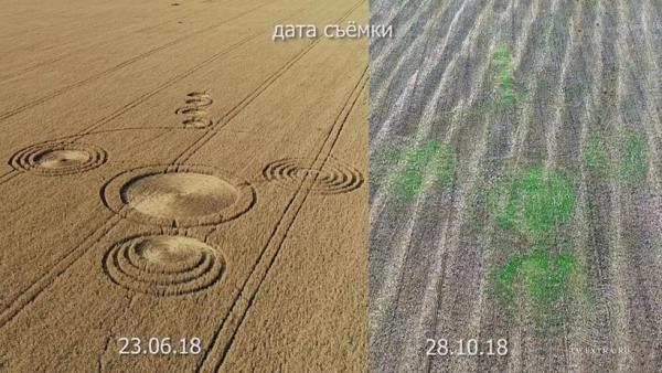 круги на полях октябрь 2018