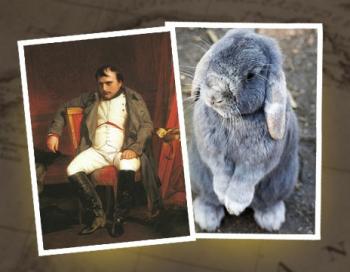 Наполеон и кролики