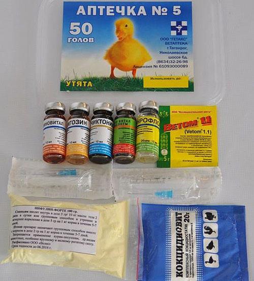  Лечим птицу антибиотиками: инструкция по применению препарата Байтрил 