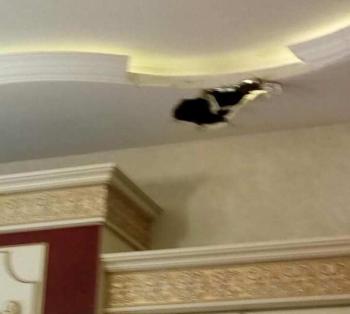 Гянджа обстрелянный дом