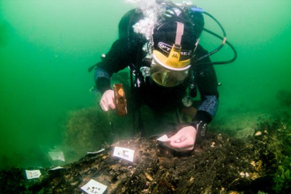 Продвинутые технологии из каменного века нашли на дне морском