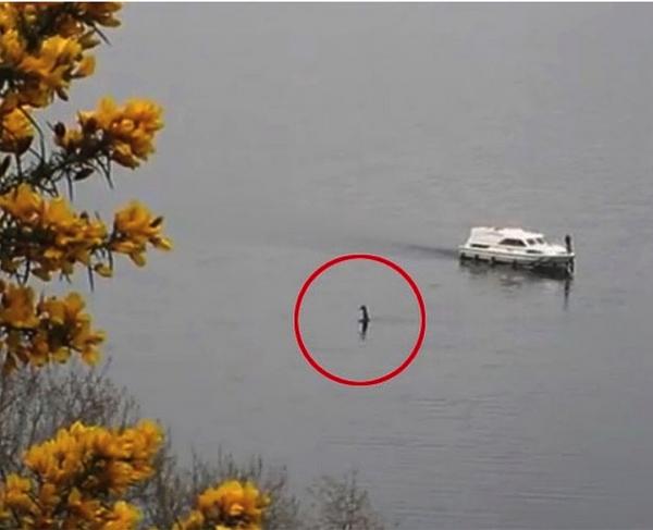 Несси Лох-Нессское чудовище