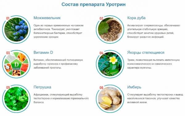 Состав Уротрин